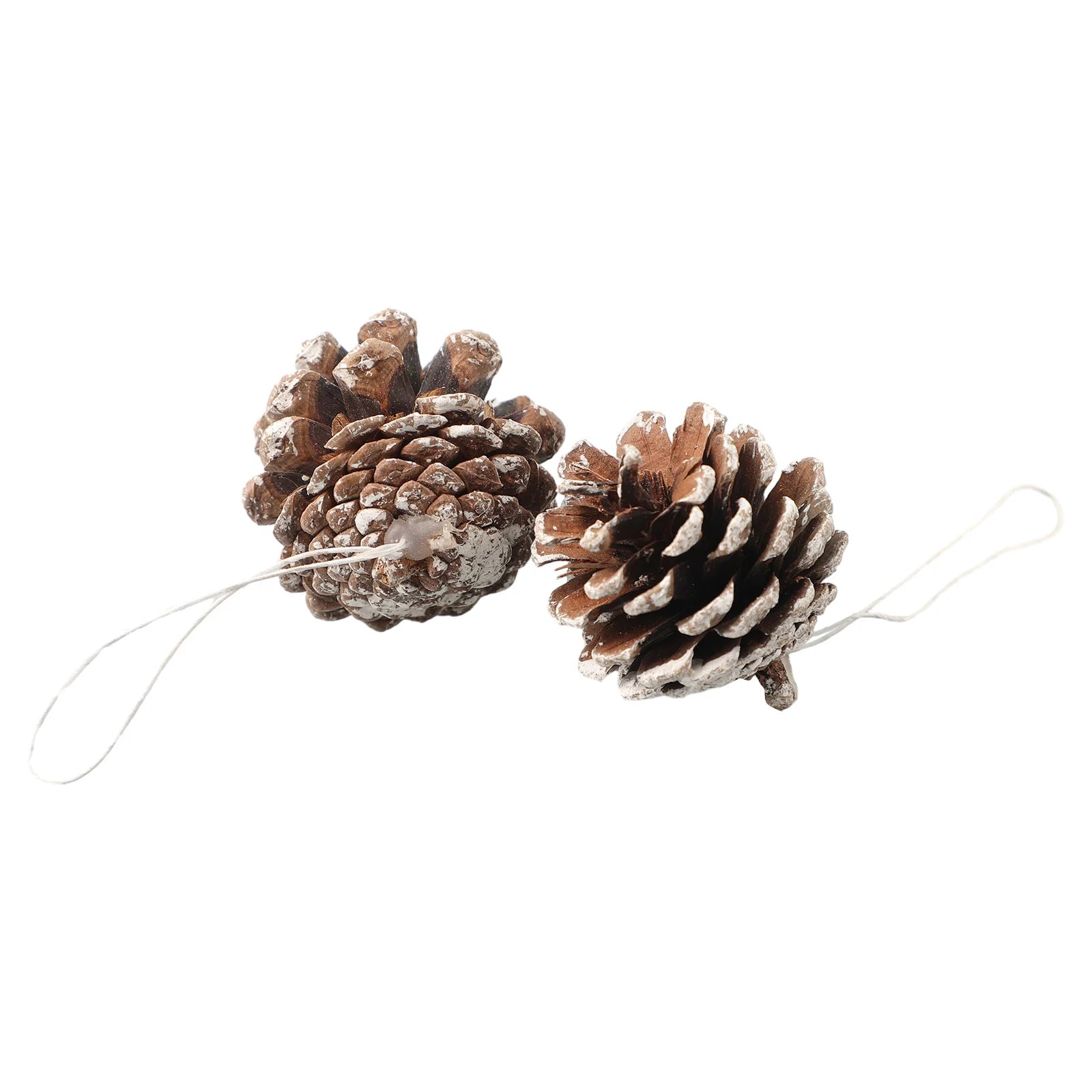 6pc/set Small Pine Cones Christmas Tree Pendant 5CM Original Color Pine Cone Ornaments Natural White Edge Pine Cone Xmas Crafts