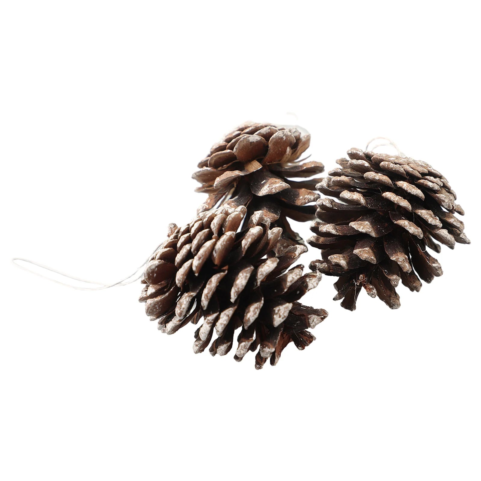 6pc/set Small Pine Cones Christmas Tree Pendant 5CM Original Color Pine Cone Ornaments Natural White Edge Pine Cone Xmas Crafts