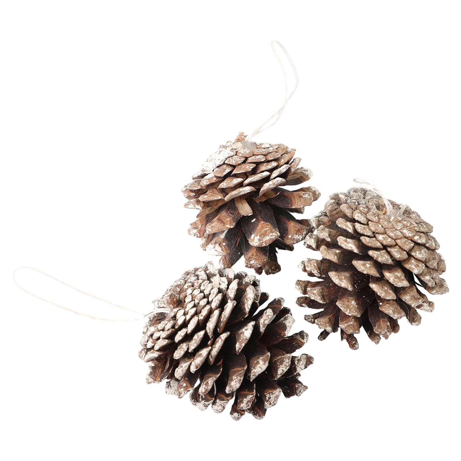 6pc/set Small Pine Cones Christmas Tree Pendant 5CM Original Color Pine Cone Ornaments Natural White Edge Pine Cone Xmas Crafts