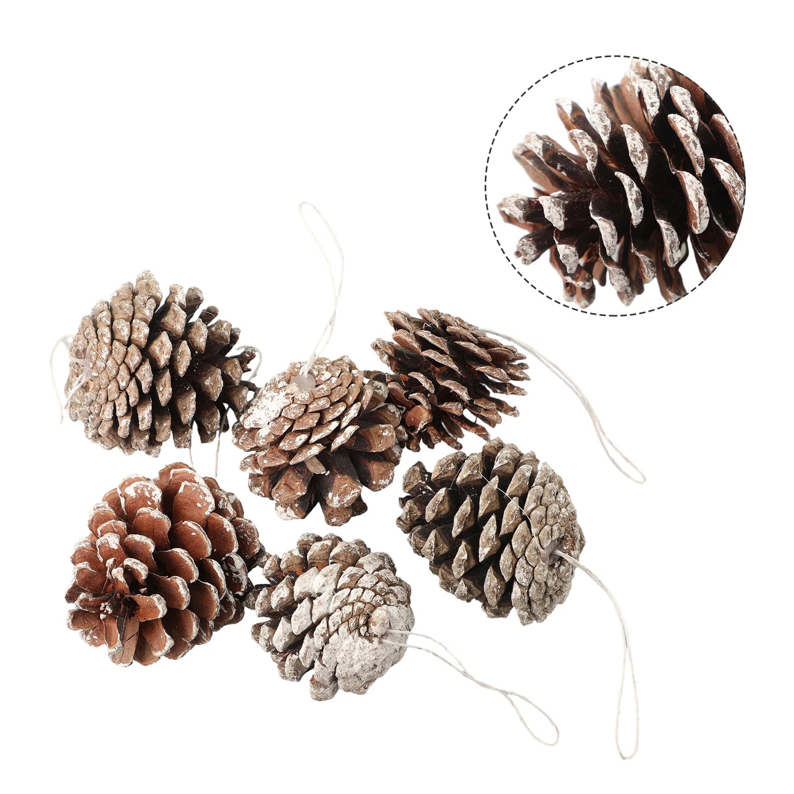 6pc/set Small Pine Cones Christmas Tree Pendant 5CM Original Color Pine Cone Ornaments Natural White Edge Pine Cone Xmas Crafts