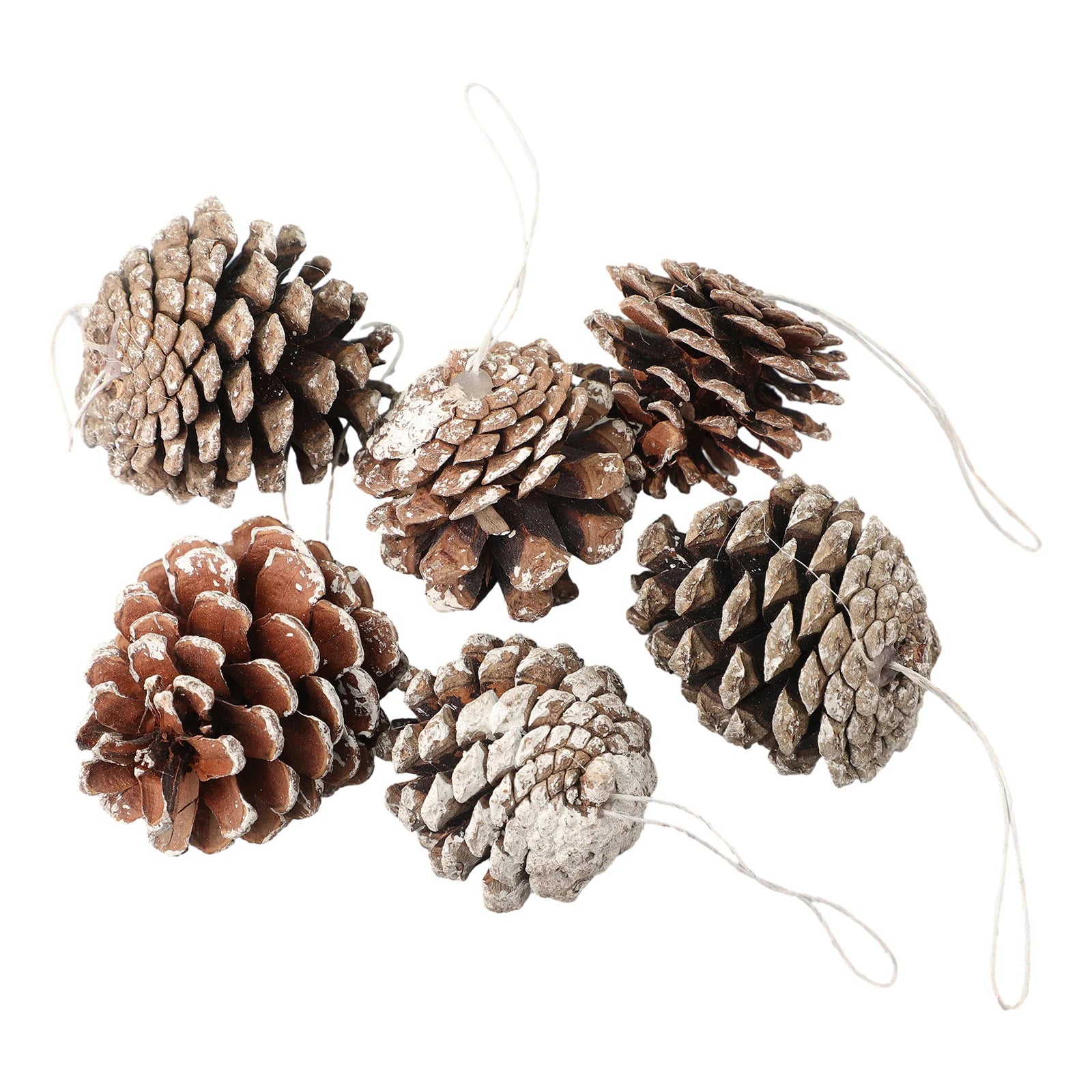 6pc/set Small Pine Cones Christmas Tree Pendant 5CM Original Color Pine Cone Ornaments Natural White Edge Pine Cone Xmas Crafts