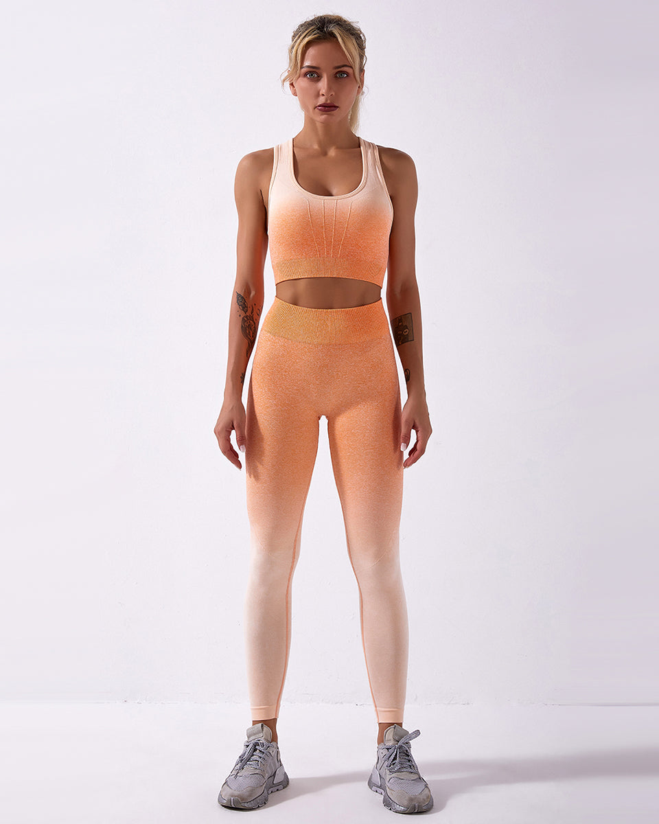 Calico Ombre Seamless Leggings