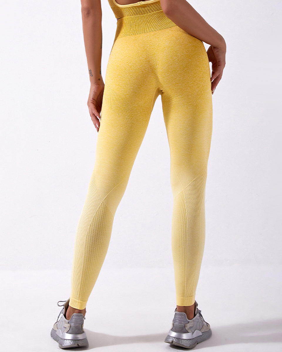 Calico Ombre Seamless Leggings