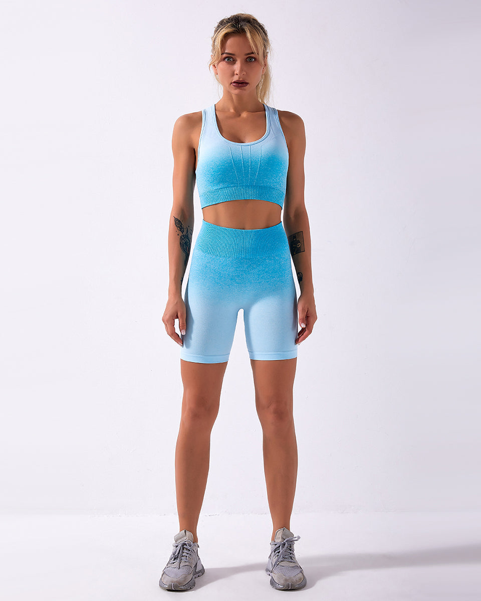 Calico Ombre Seamless Sports Bra